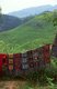 China: Colourful Zhuang textiles hang on a line in Ping An, a Zhuang village next to the Longji (Dragon's Backbone) Terraced Rice Fields, Longsheng Rice Terraces, Longsheng County, Guangxi Province